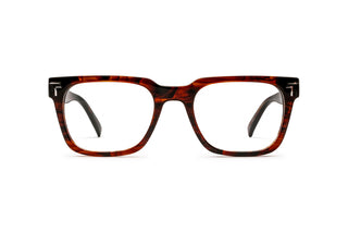 1000022910 Tortoise image-1