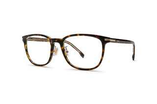 1000029870 Tortoise image-3