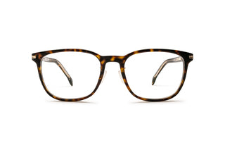 1000029870 Tortoise image-1