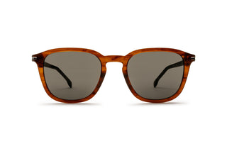 1000029950 Tortoise image-1