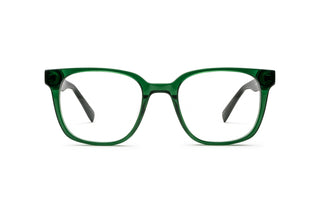1000031400 Green/Brown image-1