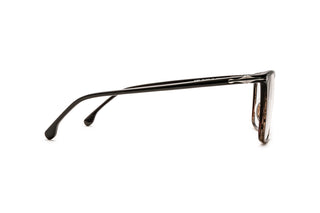 1000031630 Brown image-2