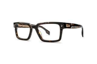 1000031650 Tortoise image-3