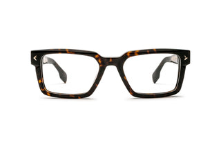 1000031650 Tortoise image-1