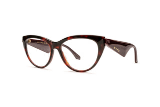 1000034170 Tortoise image-3