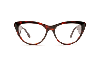 1000034170 Tortoise image-1