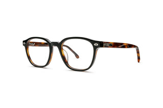 1000036160 Tortoise image-3