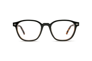 1000036160 Tortoise image-1