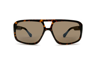 1000038330 Tortoise image-1