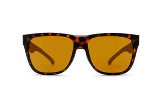 1140100440 Matt tortoise image-1