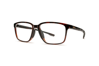 1140101590 Tortoise image-3