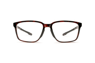 1140101590 Tortoise image-1