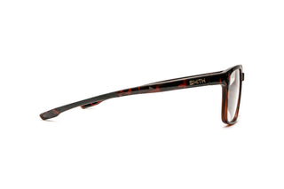 1140101590 Tortoise image-2