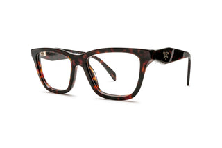 1200015580 Tortoise image-3