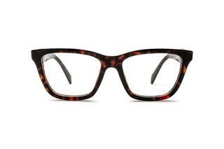 1200015580 Tortoise image-1