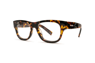 1200015910 Tortoise image-3