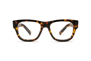 1200015910 Tortoise image-1