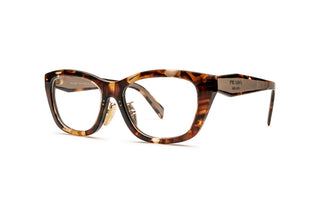 1200015950 Tortoise image-3