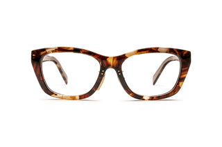 1200015950 Tortoise image-1