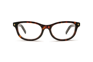 1200015970 Tortoise image-1