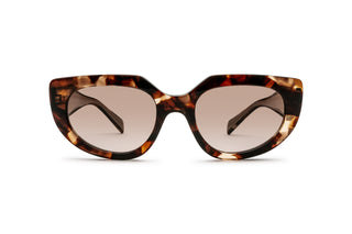 1200016010 Tortoise image-1
