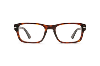 1210101730 Tortoise image-1