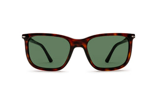 1210101780 Tortoise image-1