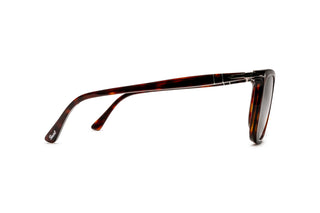 1210101780 Tortoise image-2