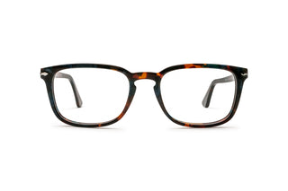 1210101980 Tortoise image-1