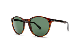 1210102120 Tortoise image-3