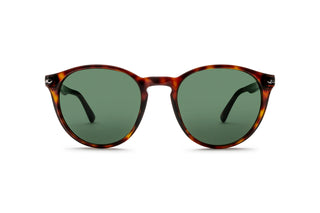 1210102120 Tortoise image-1