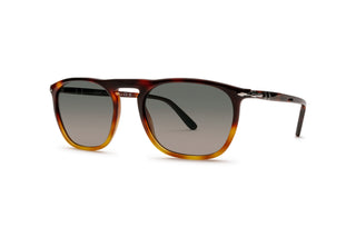 1210102260 Tortoise image-3