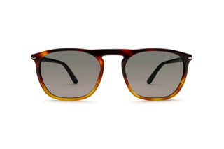 1210102260 Tortoise image-1