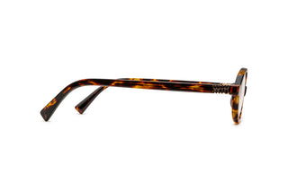 1290100510 Tortoise image-2