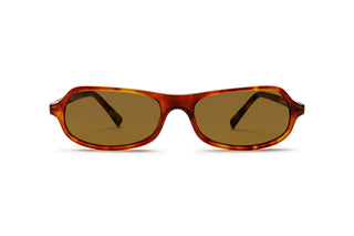 1290101140 Tortoise image-1