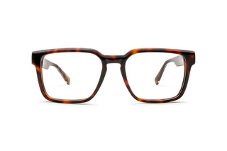 2130102430 Tortoise image-1
