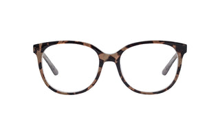 2150101500 Tortoise image-1