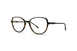 2150103900 Tortoise image-3