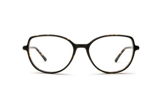 2150103900 Tortoise image-1