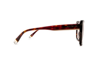 2150103920 Tortoise image-2