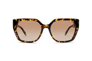 2150104020 Tortoise image-1