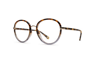 2160103730 Tortoise image-3