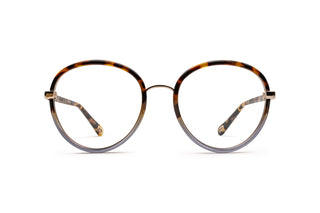 2160103730 Tortoise image-1