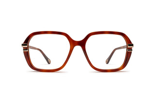 2160104050 Tortoise image-1