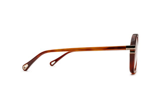 2160104050 Tortoise image-2