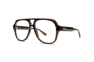 2160104170 Tortoise image-3