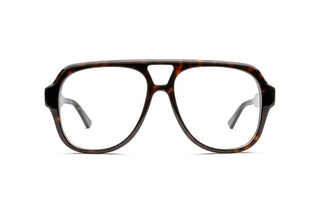 2160104170 Tortoise image-1