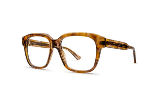 2160104200 Tortoise image-3