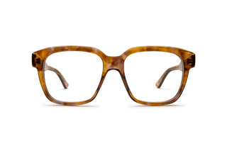 2160104200 Tortoise image-1