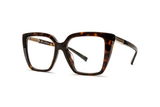 2510105640 Tortoise image-3